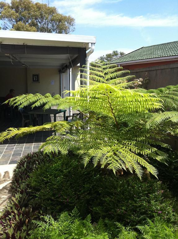 The Crescent Guesthouses - Bnb/Self Catering Durban Kültér fotó